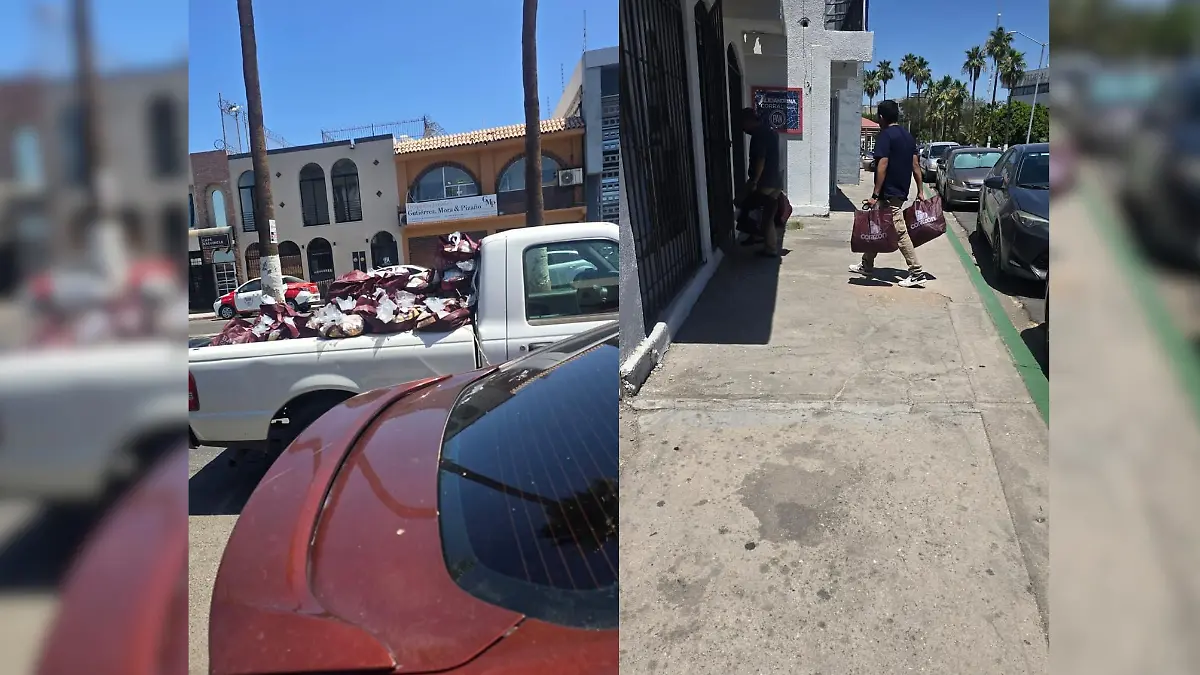 Diseño sin título - 2026-03-18T184035.890