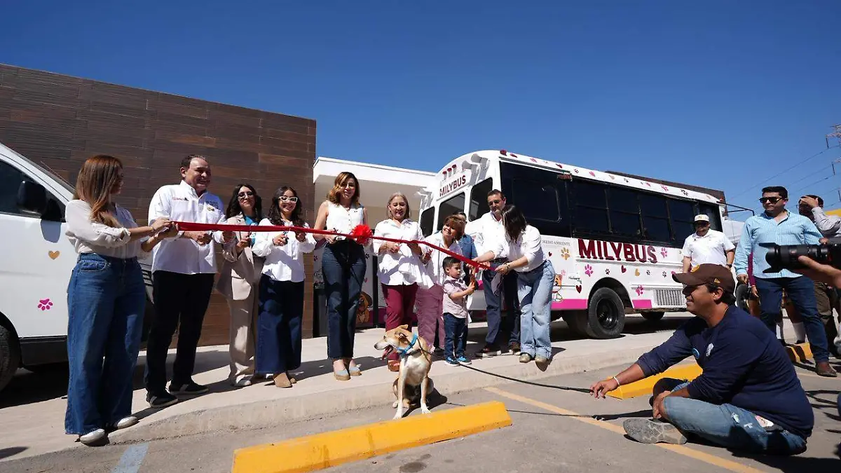 WhatsApp Image 2026-03-19 at 11.19.37 AM