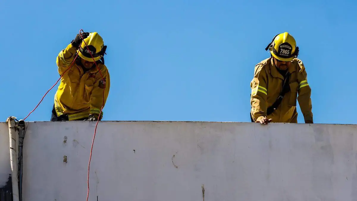 WhatsApp Image 2026-03-19 at 1.50.57 PM