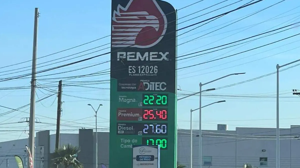 WhatsApp Image 2026-03-20 at 18.28.57