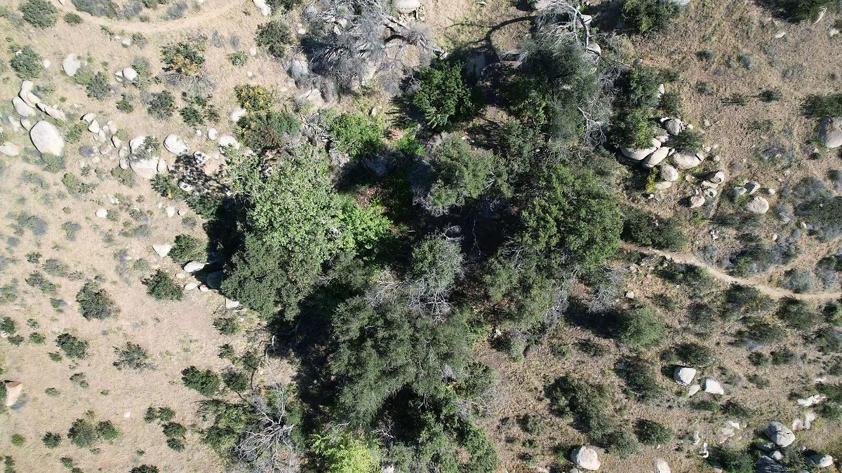 WhatsApp Image 2026-03-21 at 2.59.35 PM