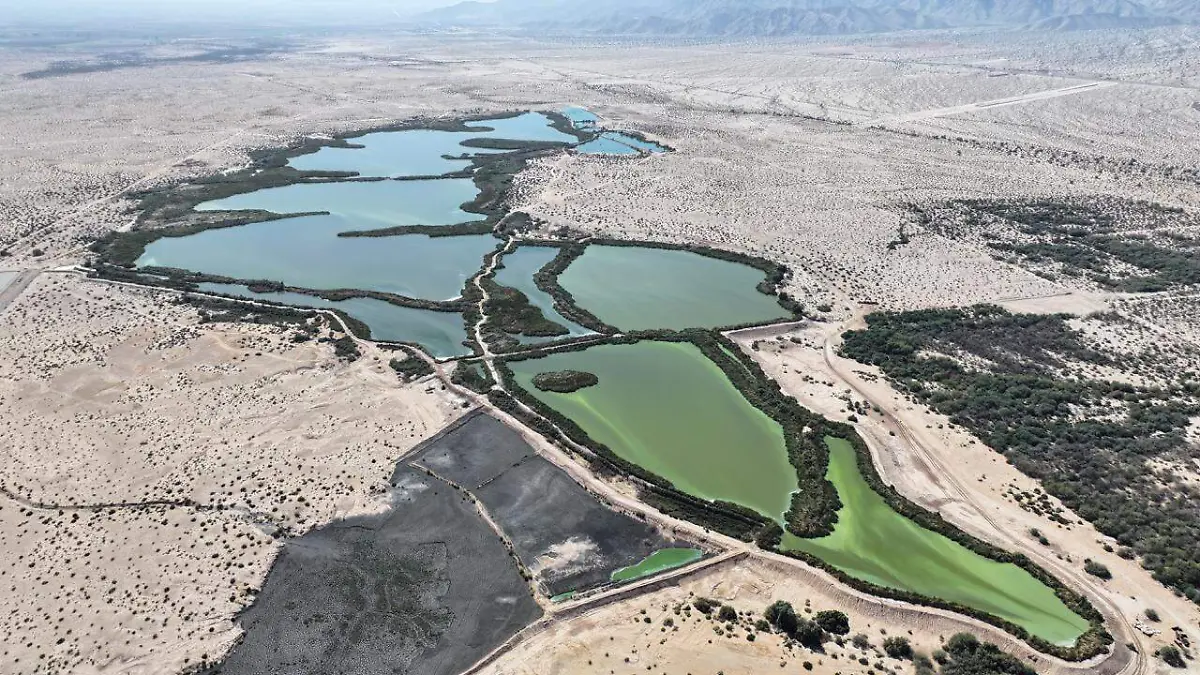 WhatsApp Image 2026-03-21 at 5.43.46 PM (5)