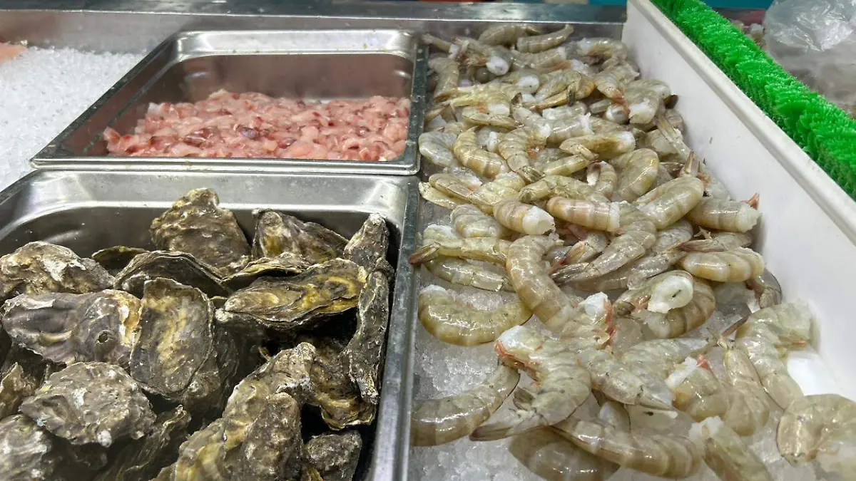 WhatsApp Image 2026-03-23 at 5.33.59 PM (1)