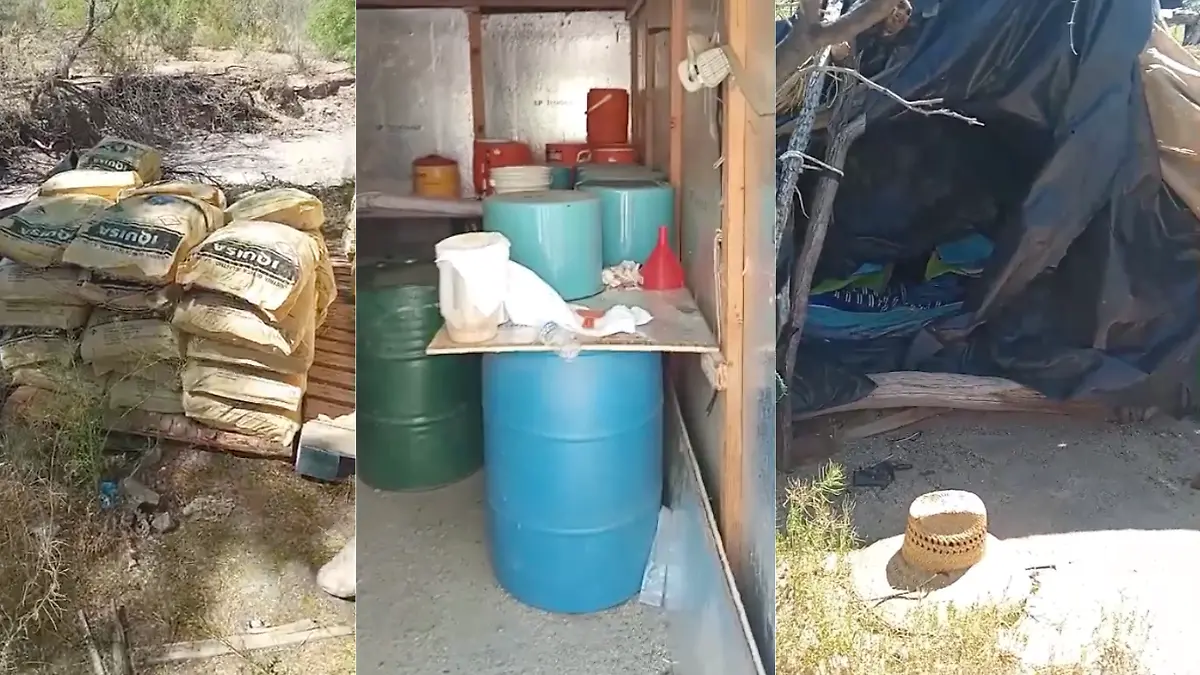 Diseño sin título - 2026-03-23T195814.831