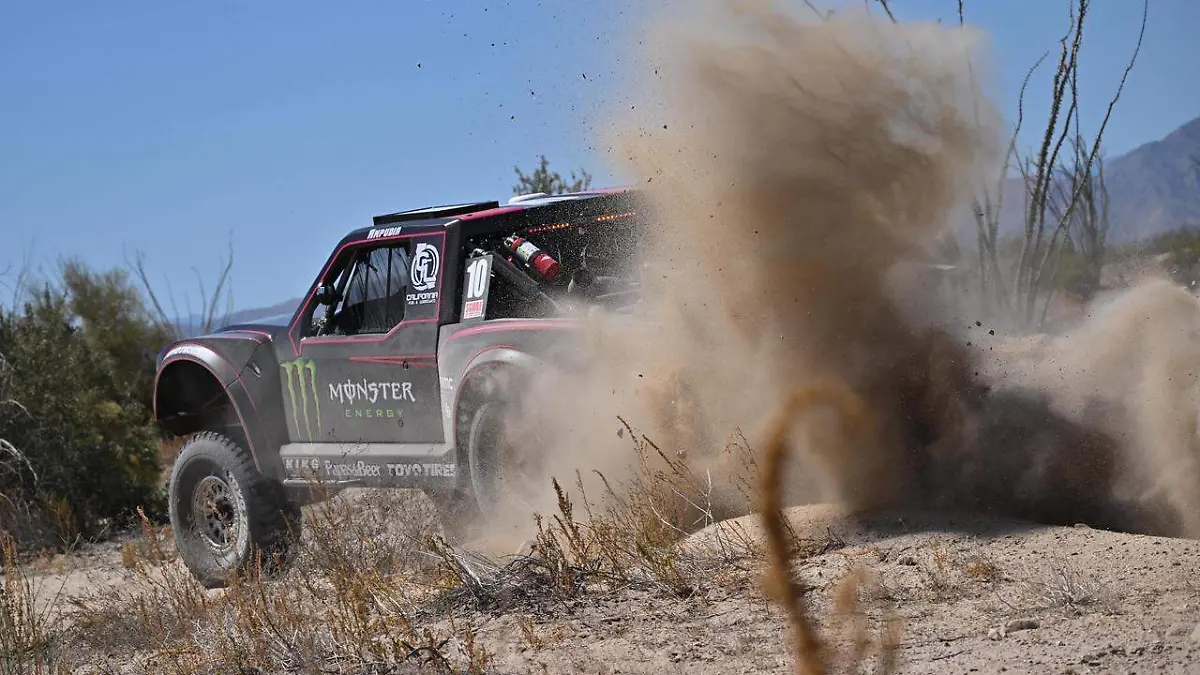 WhatsApp Image 2026-03-24 at 3.25.20 PM