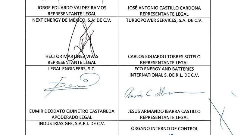 fallo de la licitación en favor de Next Energy de México, S.A. de C.V.