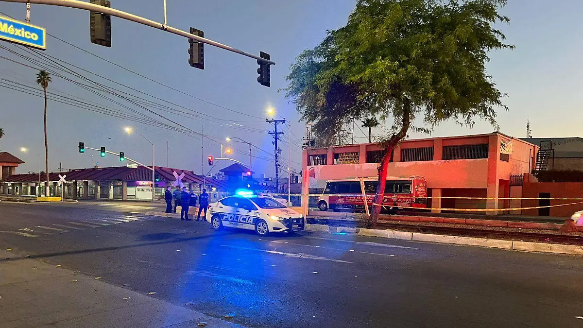 WhatsApp Image 2026-03-25 at 7.25.48 AM