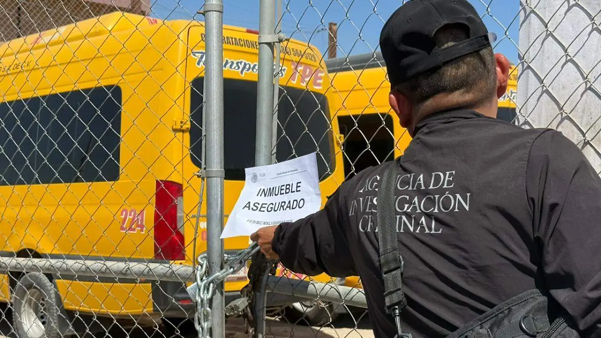 WhatsApp Image 2026-03-25 at 2.20.17 PM