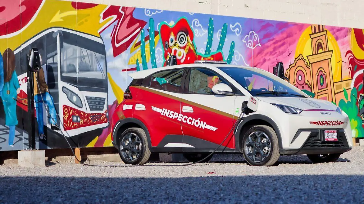 WhatsApp Image 2026-03-25 at 6.03.44 PM (2)