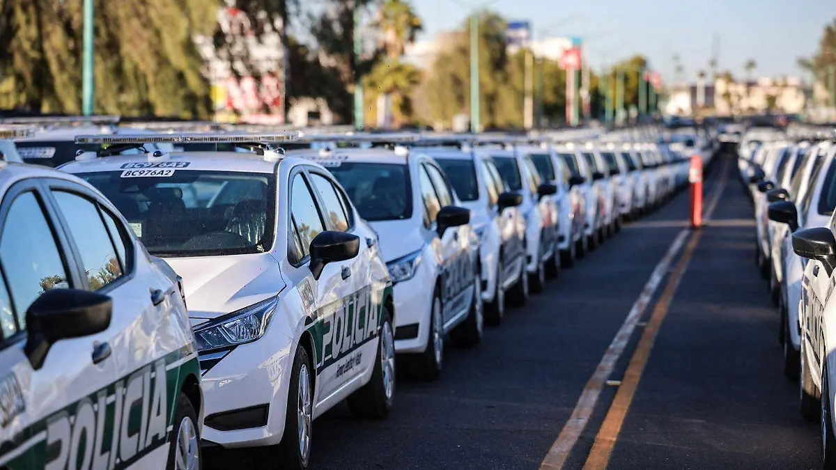 WhatsApp Image 2026-03-26 at 8.59.22 AM