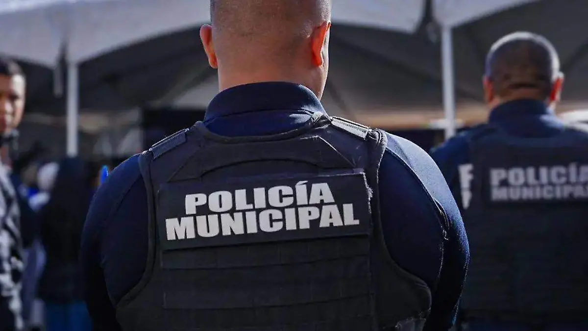 WhatsApp Image 2026-03-26 at 8.57.13 AM