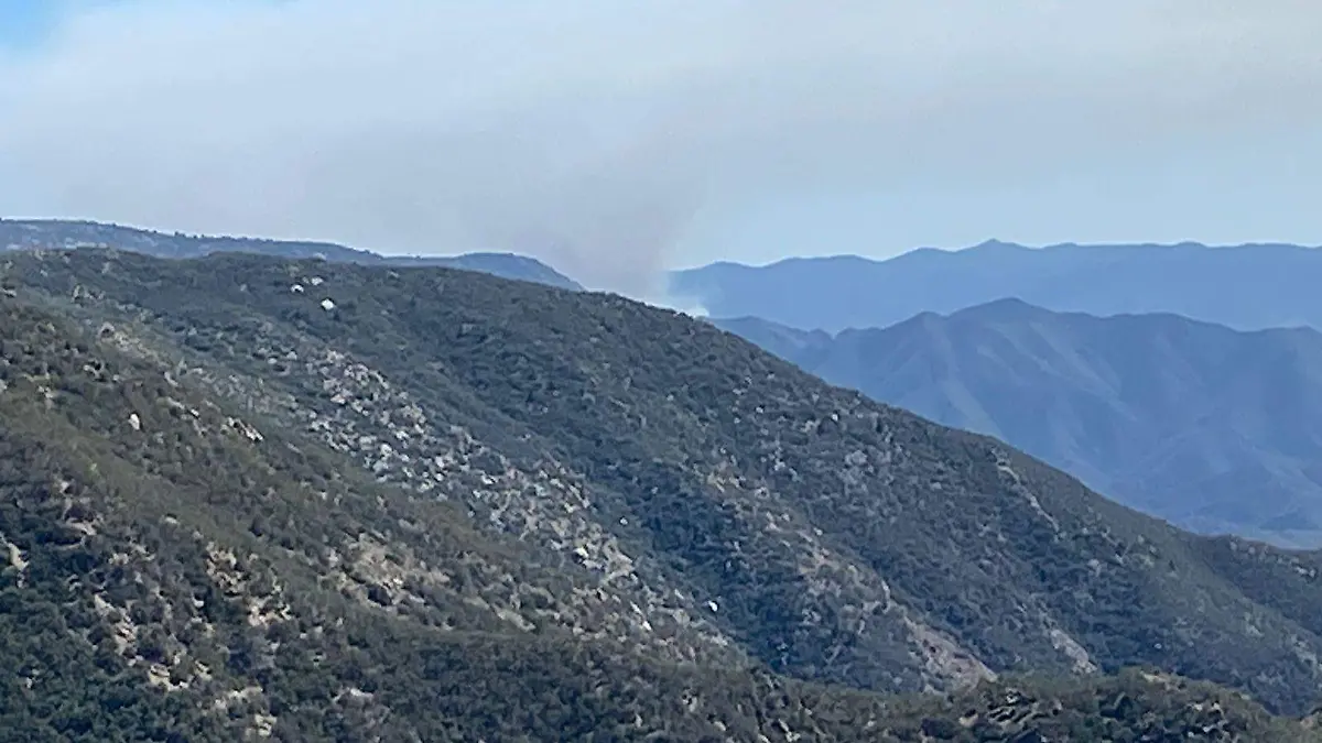 WhatsApp Image 2026-03-26 at 9.34.04 PM