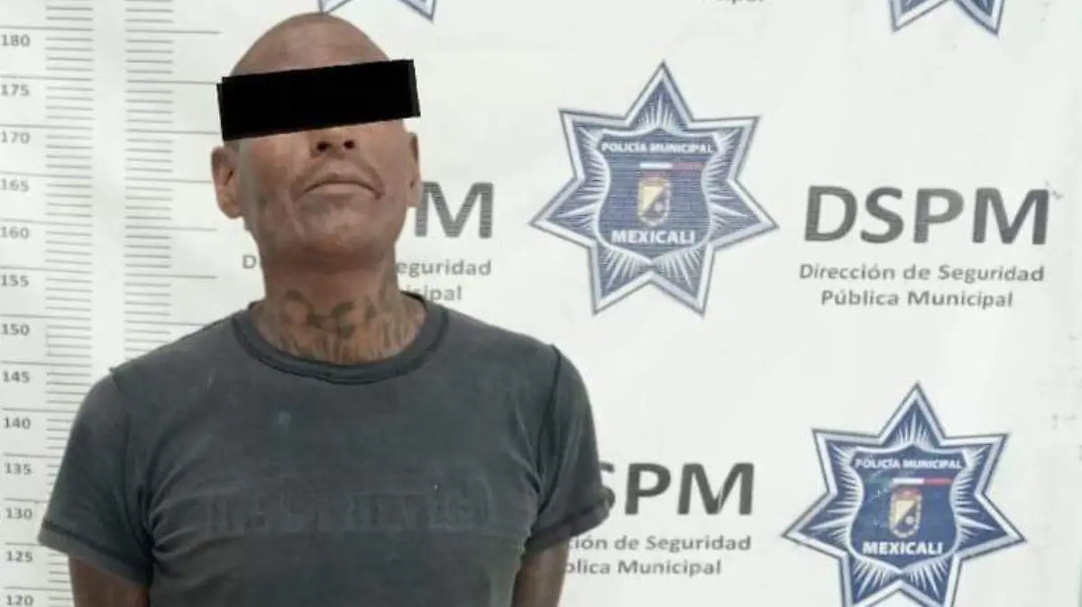 WhatsApp Image 2026-03-27 at 1.44.03 PM