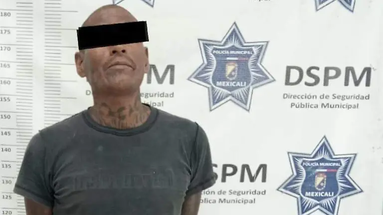 WhatsApp Image 2026-03-27 at 1.44.03 PM