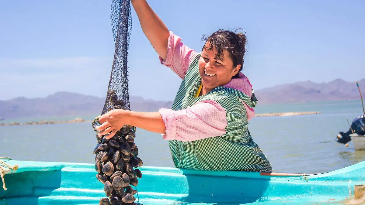 260326 Convoca Conapesca a participar en el Premio a la Pesca y Acuacultura Sustentables 2026-3