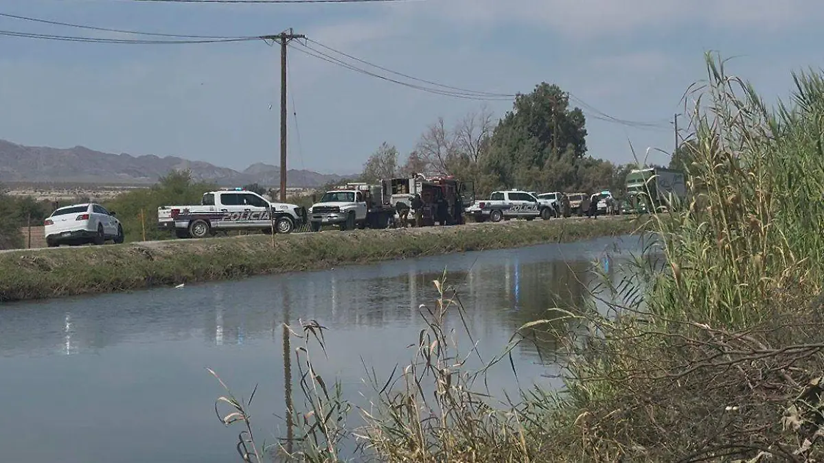 WhatsApp Image 2026-03-29 at 2.28.33 PM