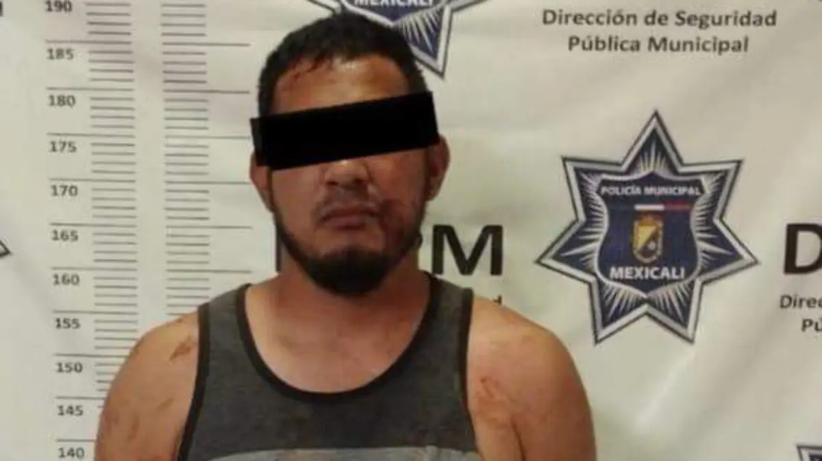 WhatsApp Image 2026-03-29 at 1.28.00 PM