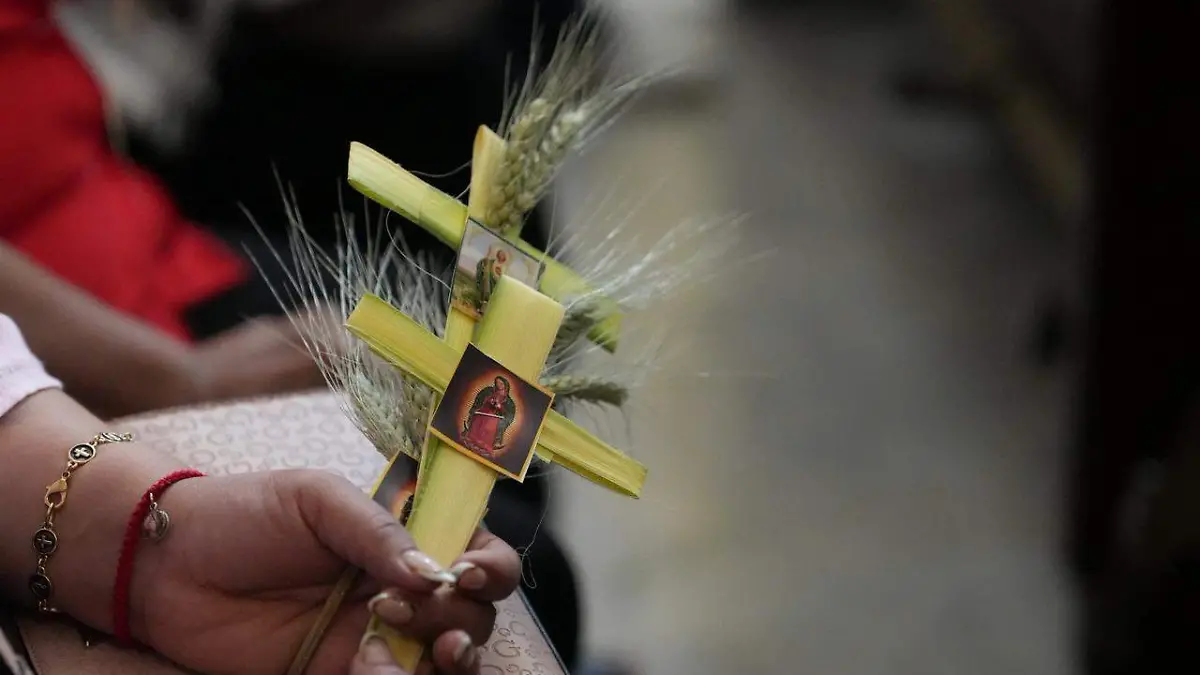 WhatsApp Image 2026-03-29 at 11.15.15 AM