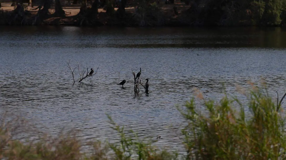 WhatsApp Image 2026-03-29 at 3.35.57 PM