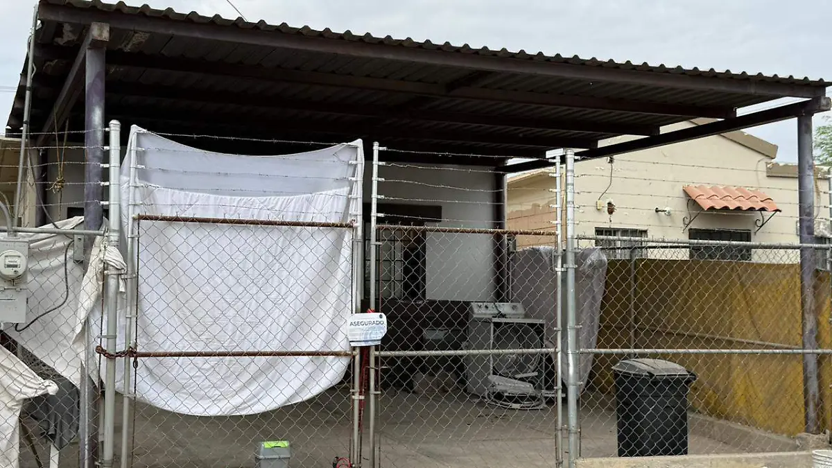 WhatsApp Image 2026-03-31 at 10.40.54 AM