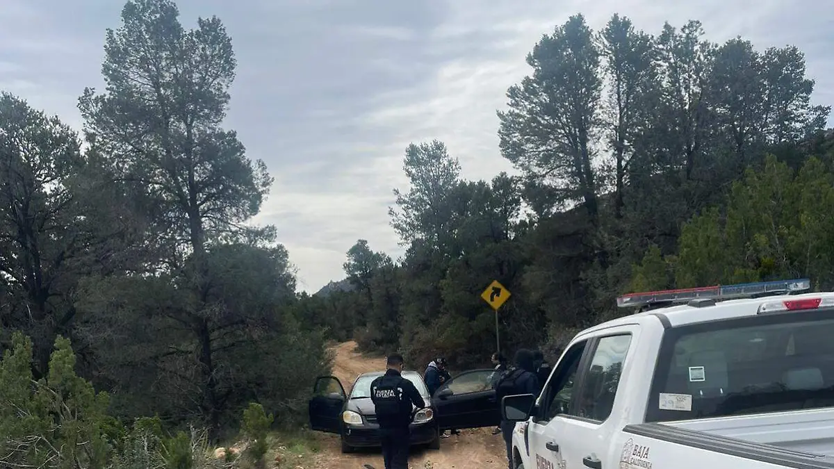 WhatsApp Image 2026-04-01 at 1.42.46 PM