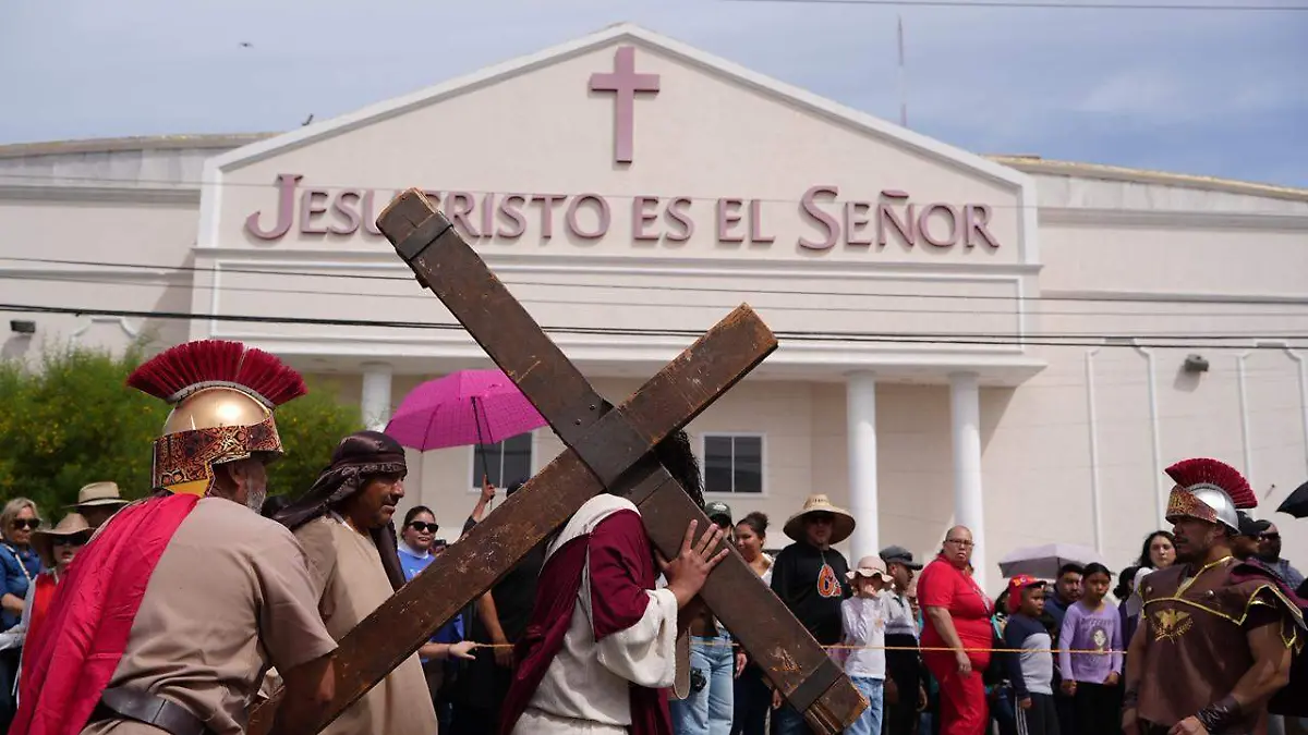 WhatsApp Image 2026-04-03 at 11.49.09 AM