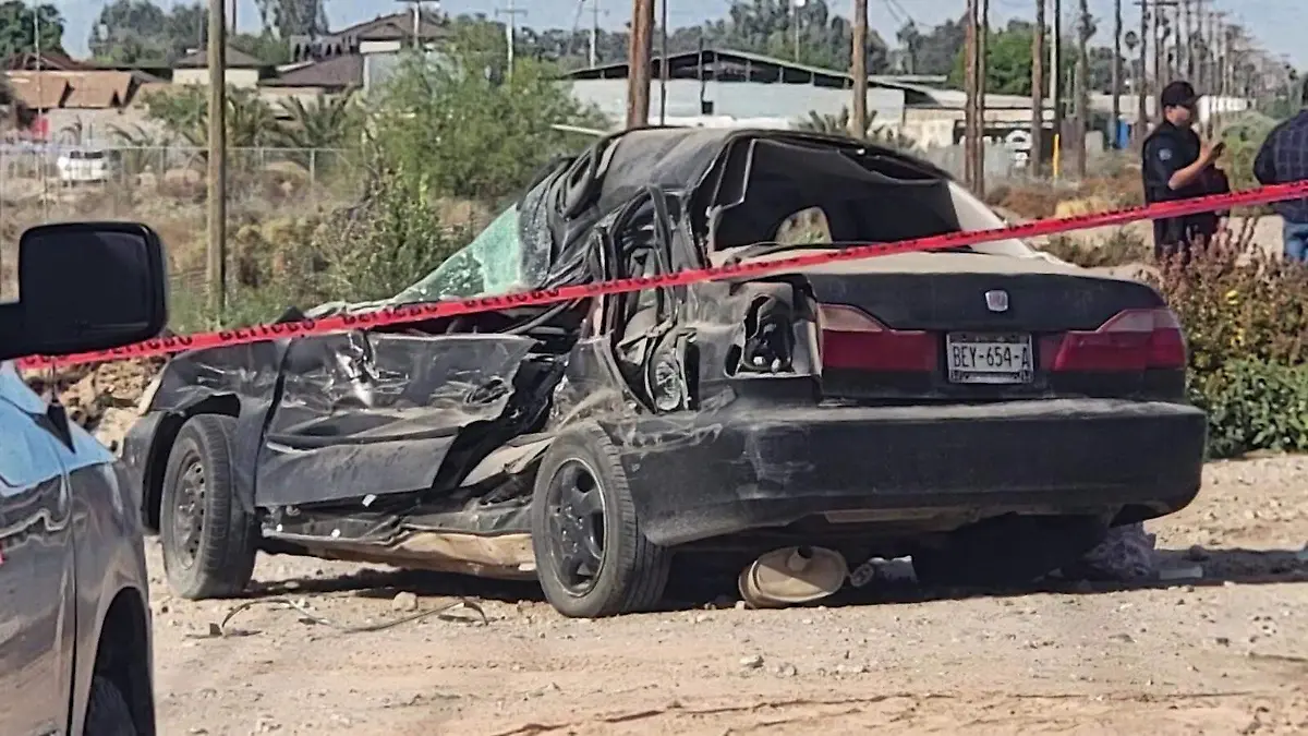 WhatsApp Image 2026-04-03 at 4.15.40 PM