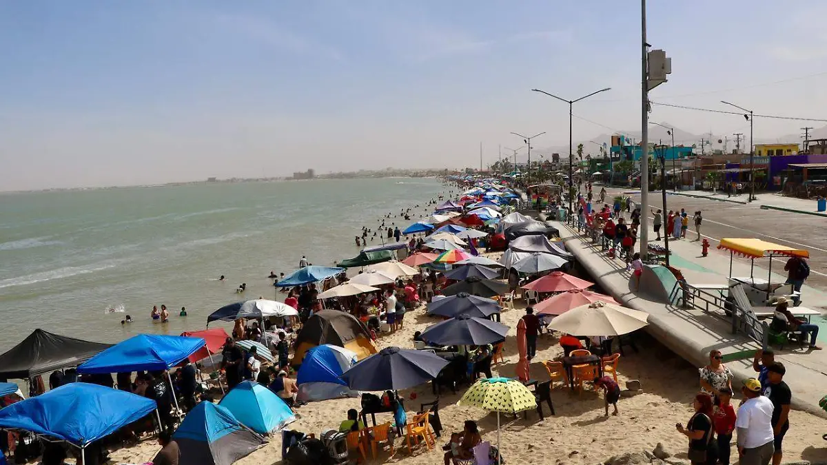 WhatsApp Image 2026-04-03 at 5.35.03 PM