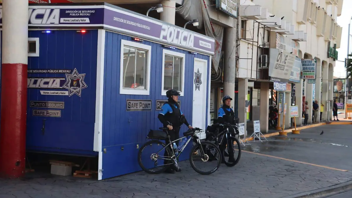 WhatsApp Image 2026-03-30 at 2.46.35 PM