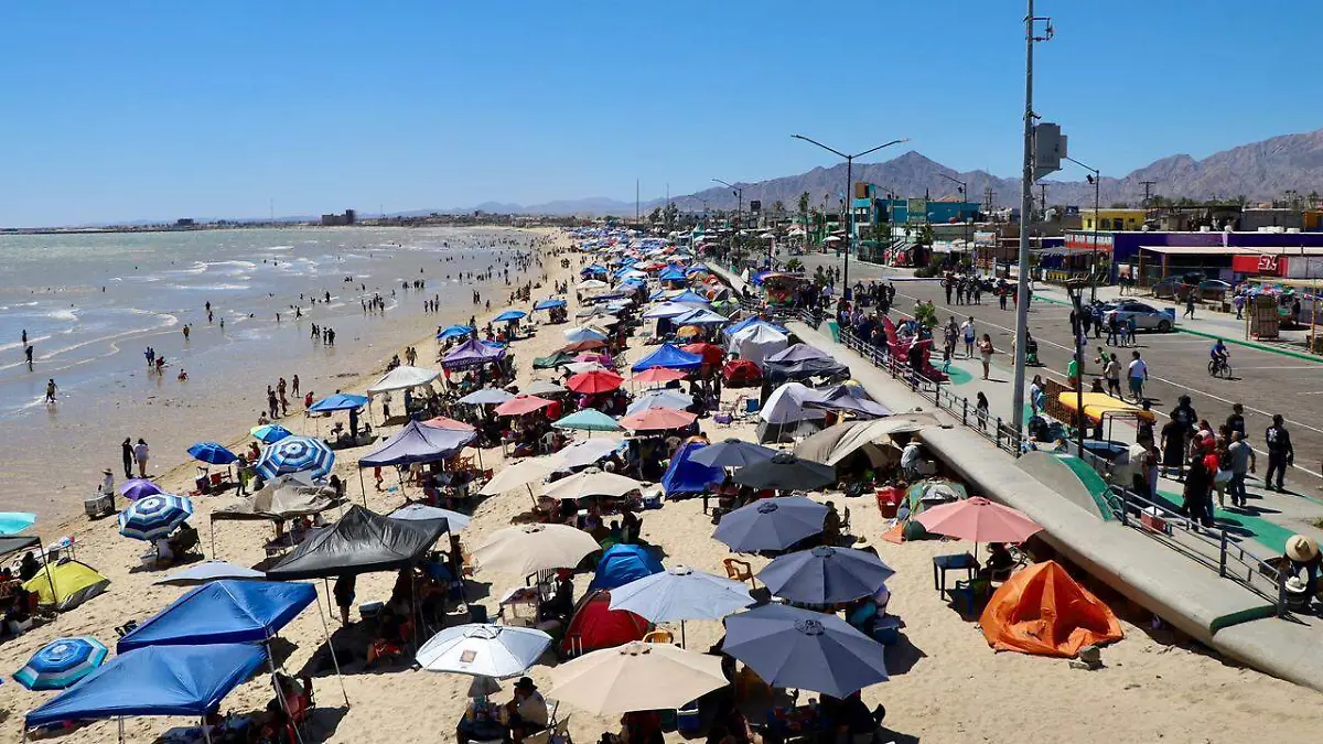 WhatsApp Image 2026-04-04 at 12.25.01 PM