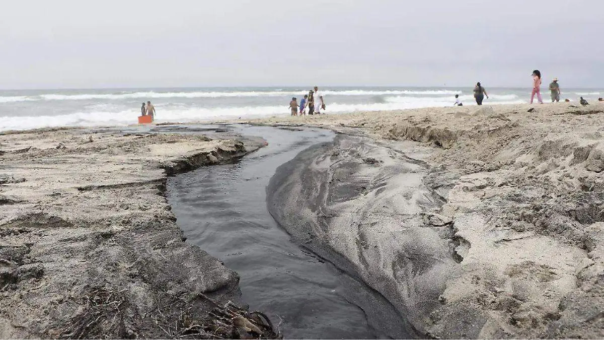 Diseño sin título (3)