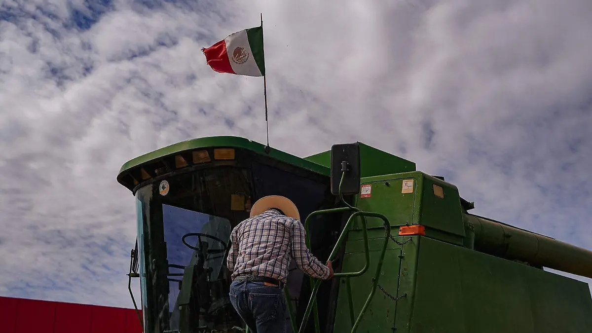 WhatsApp Image 2026-04-06 at 10.59.54 AM