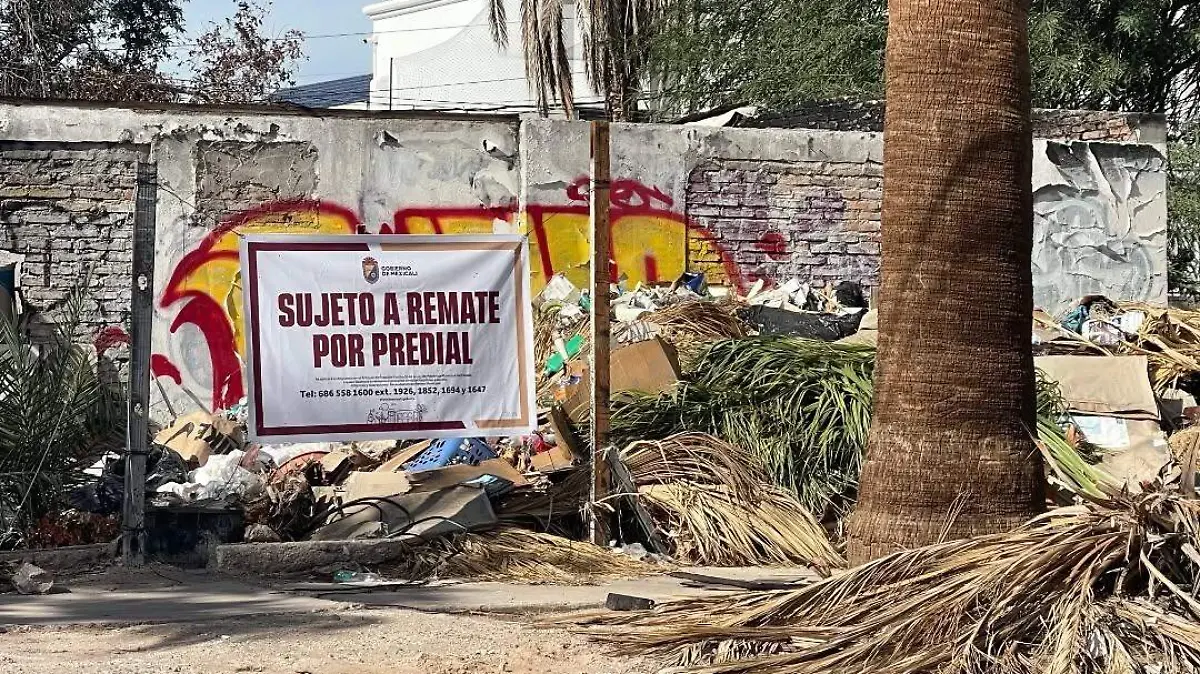 582255414_18405301159191525_2366435644293827004_n