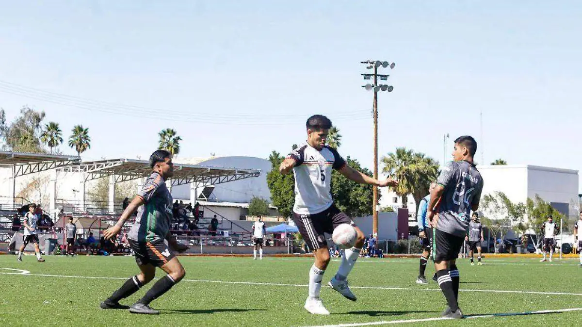 WhatsApp Image 2026-04-08 at 2.47.30 PM