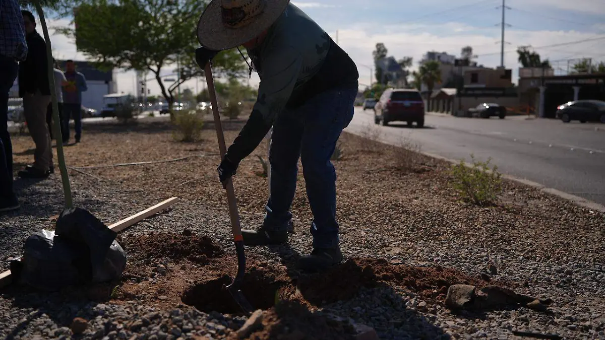 WhatsApp Image 2026-04-10 at 11.35.49 AM