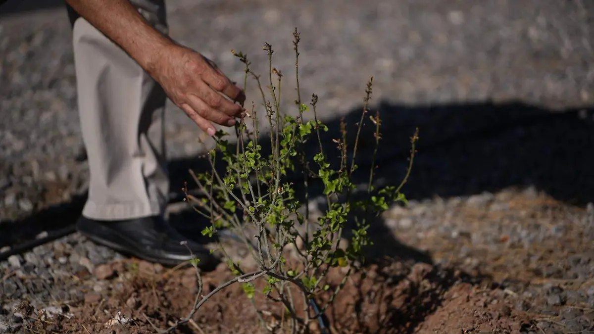 WhatsApp Image 2026-04-10 at 11.35.51 AM (1)