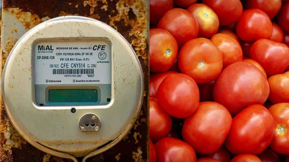 energeticos y alimentos