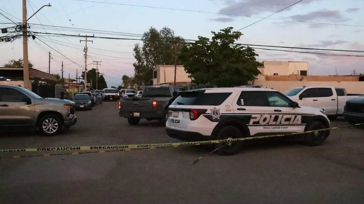 WhatsApp Image 2026-04-10 at 7.40.50 PM