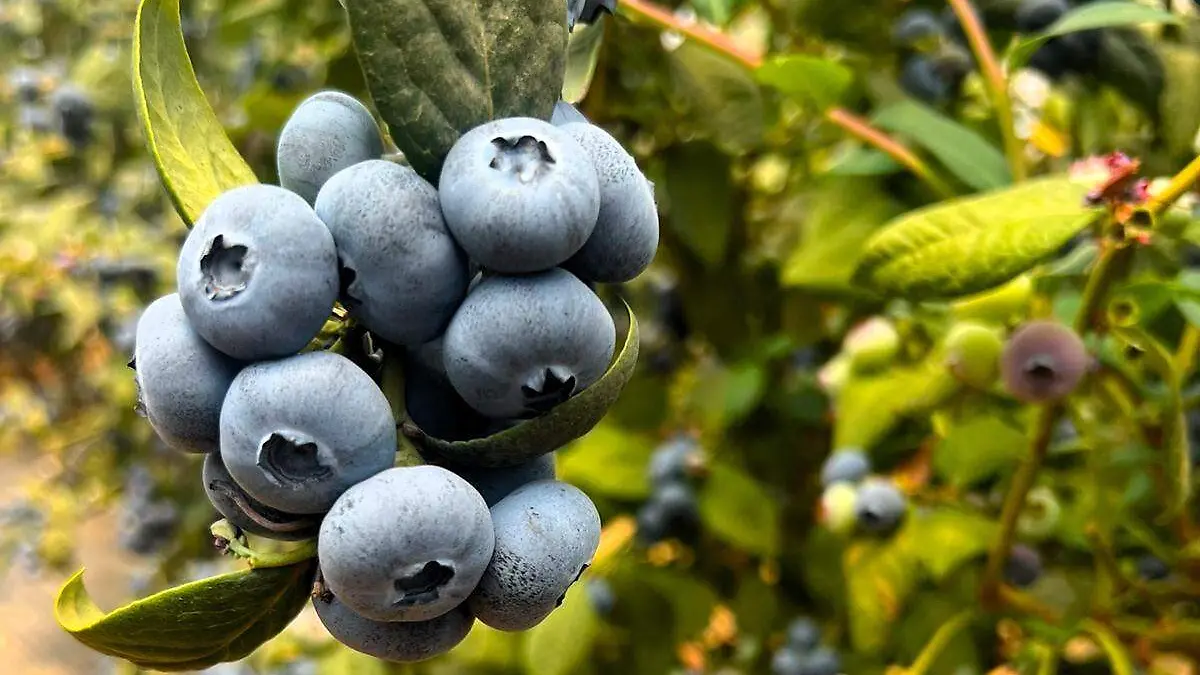 7782ed5d-6c07-4701-9992-0fc9a2c11de6