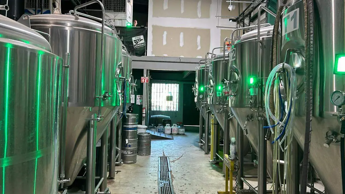 WhatsApp Image 2026-04-11 at 4.14.06 PM (2)