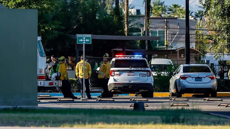 WhatsApp Image 2026-04-14 at 7.29.36 AM