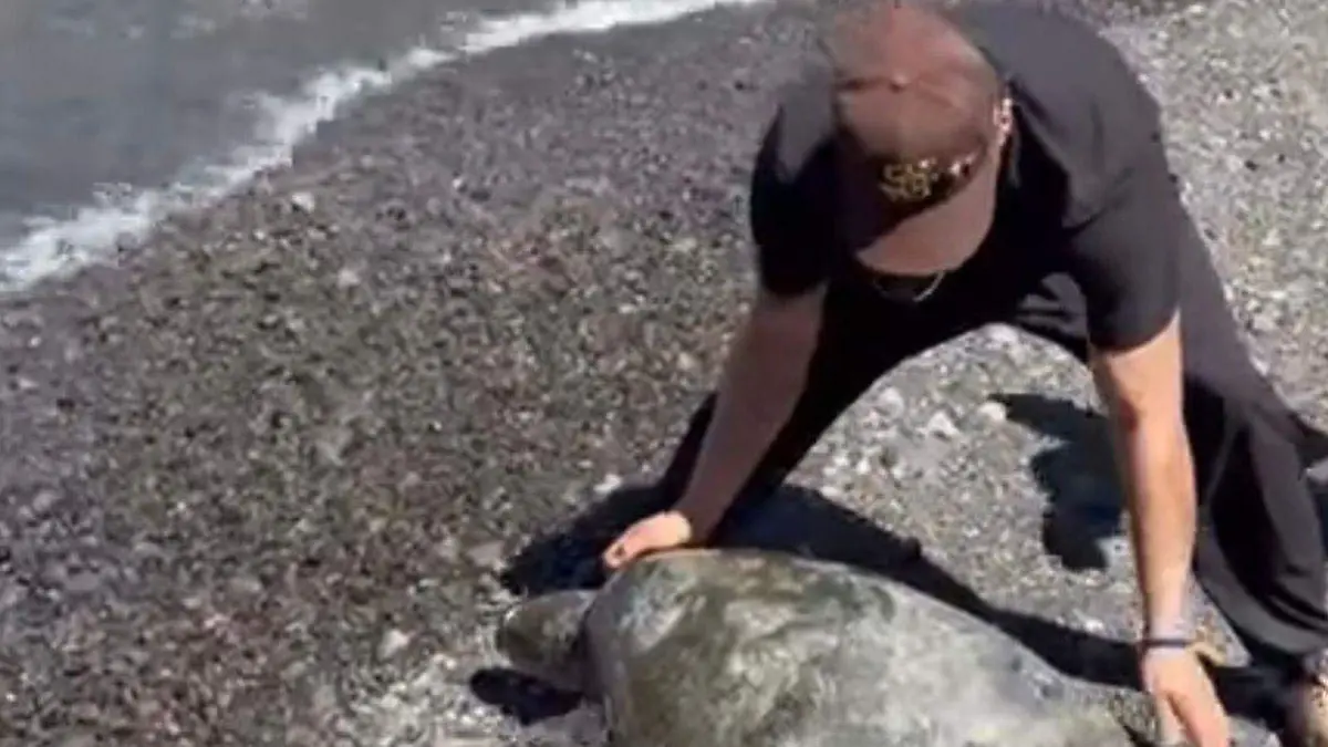 WhatsApp Image 2026-04-14 at 12.26.58 PM