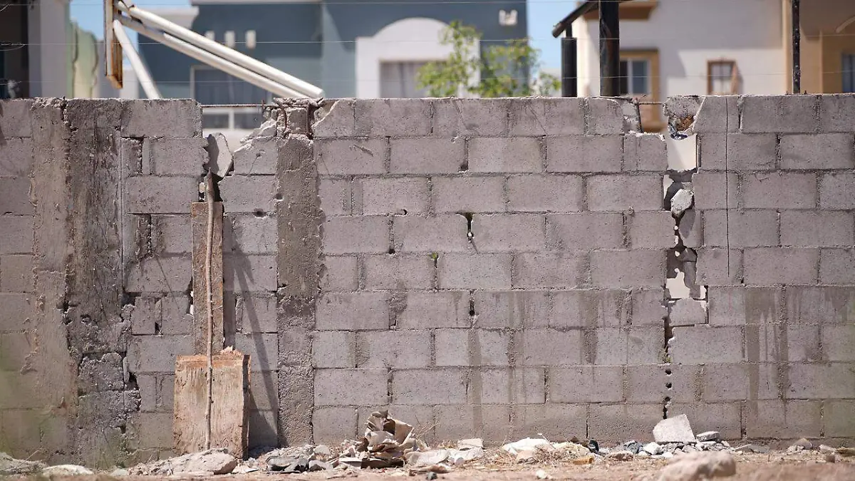 WhatsApp Image 2026-04-14 at 2.27.14 PM