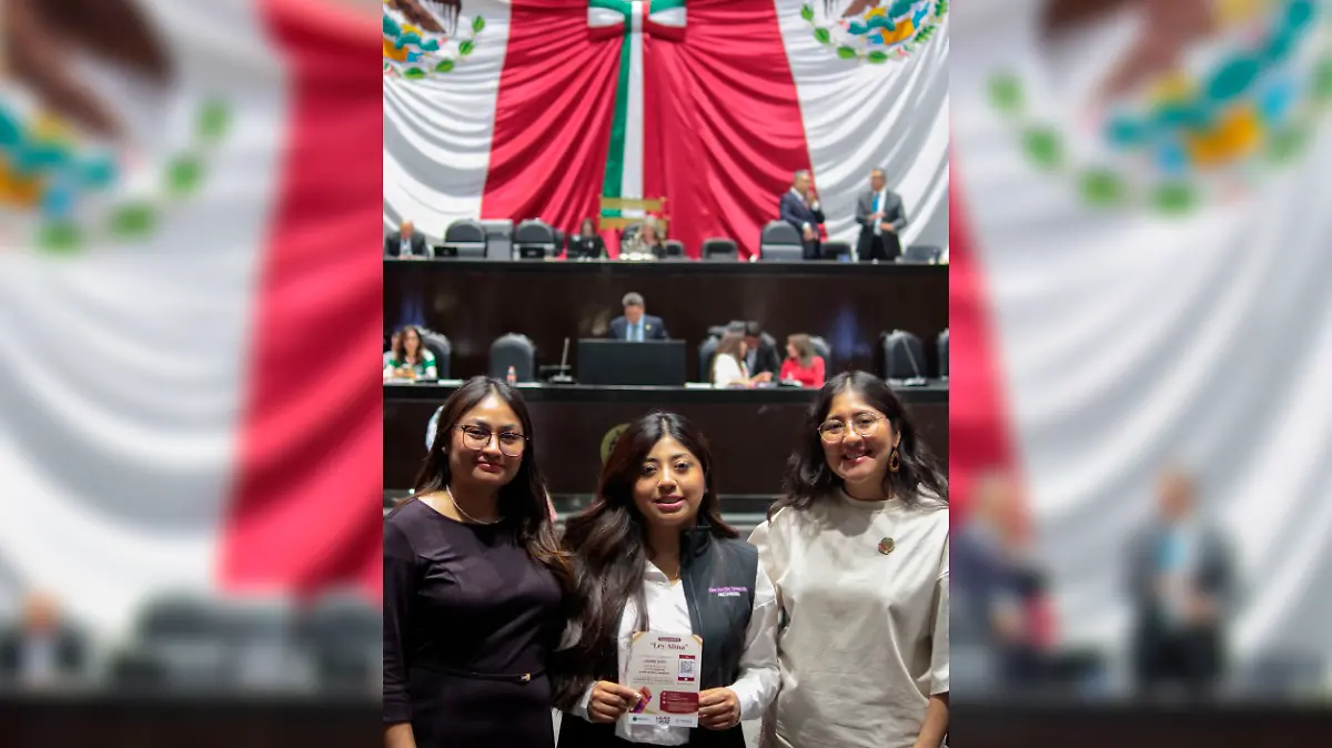 Presentan Ley Alina en la Cámara de Diputados del Congreso de la Unión