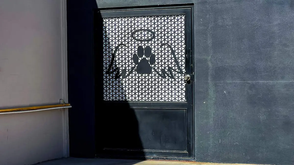 WhatsApp Image 2026-04-15 at 11.31.12 AM