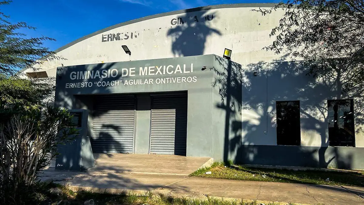 WhatsApp Image 2026-04-15 at 2.03.57 PM