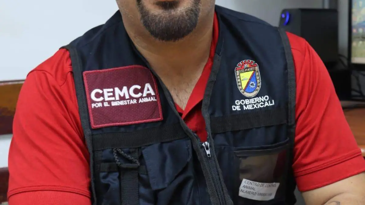 Víctor Manuel del Villar Pérez CEMCA