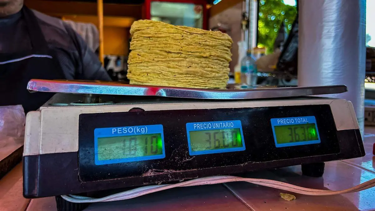 WhatsApp Image 2026-04-15 at 8.45.19 PM