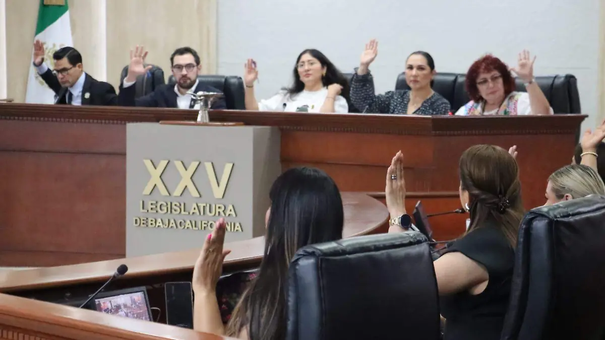 WhatsApp Image 2026-04-16 at 11.43.40 AM