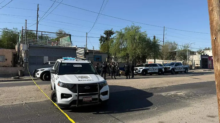 WhatsApp Image 2026-04-17 at 9.45.05 AM